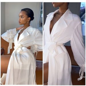 Aritzia Babaton Trench Wrap Dress